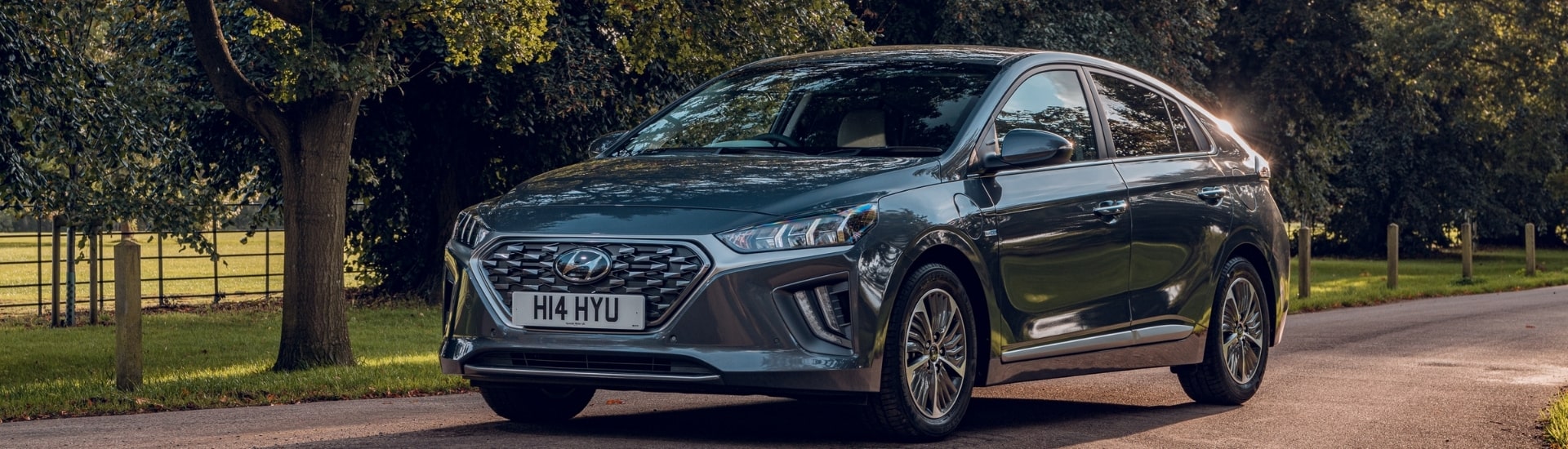 Hyundai IONIQ - Dual Control